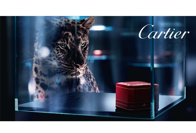 دار كارتير Cartier