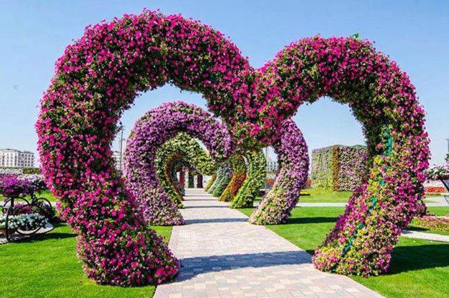 حديقة دبي ميراكل الأزهار في دبي